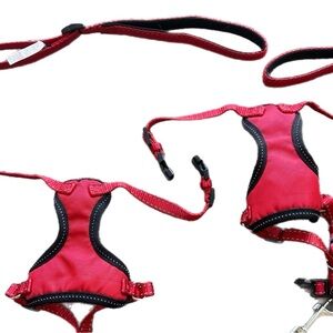 Red Cat Pet Harness and Leash Set